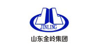 山東金嶺集團有限公司