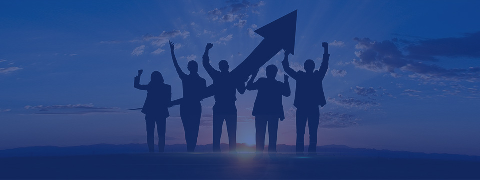 創(chuàng)新團(tuán)隊